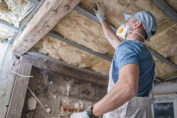Best Garage Insulation Installation  in Forest Park, OH