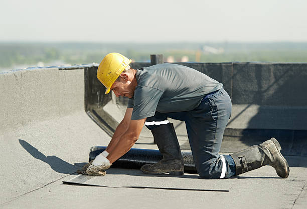 Best Cellulose Insulation  in Forest Park, OH