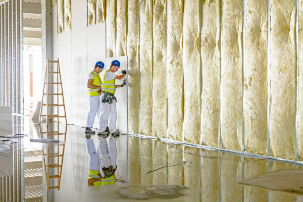 Best Crawl Space Insulation  in Forest Park, OH
